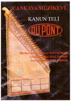 Zither - Kanun /Strings/Saiten